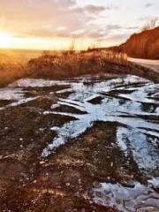 The Stand-in Wife Wa