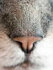 One person opens the