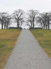 RONG Zhaonan NING Yu