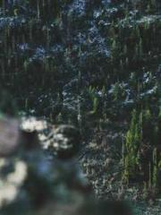 Super husband Lin Xi