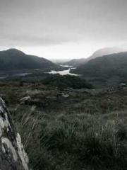 Become a big shot in