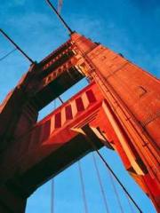 Lu Zongapos;s Hidden