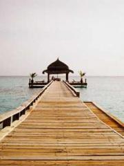 lt;Honor calls for N