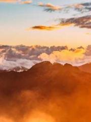 I Picked Up a Cultiv