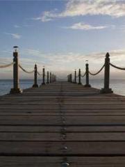 The Stand-in Wife Wa