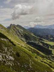 lt;lt;All in, my dec