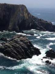 Lin Feng Lin Yun Yao