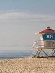 Lin Feng Lin Yun Yao