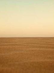 The young masterapos