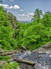 The Unmarried Wife o