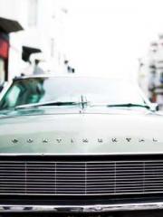 A Wifeapos;s Plea fo