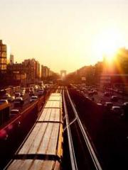 Ling Hao Qin Yuxin R