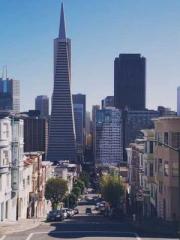 Super Dimensional Me