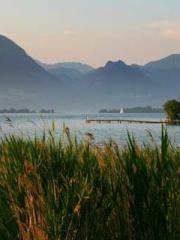 One Night of Indulge