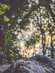 My Sweet Wife: The C