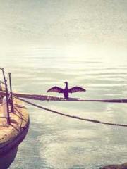 Lin Feng Lin Yun Yao