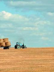 The Heavenly Physici